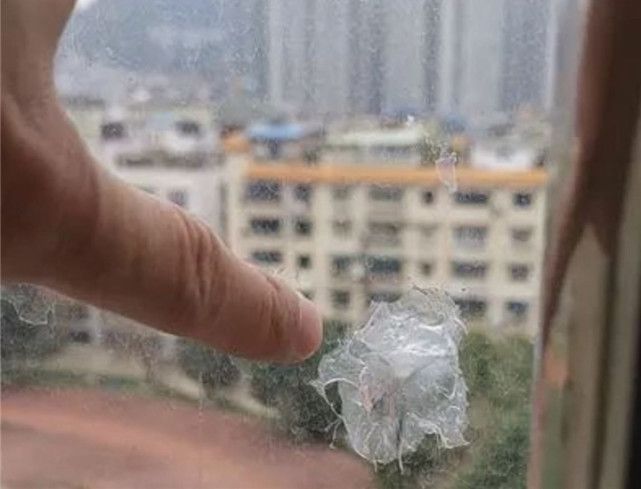 开云 开云体育官网冤不冤？男子的“发明”被用于枪械获刑10年：卖菜刀的也有错？(图4)