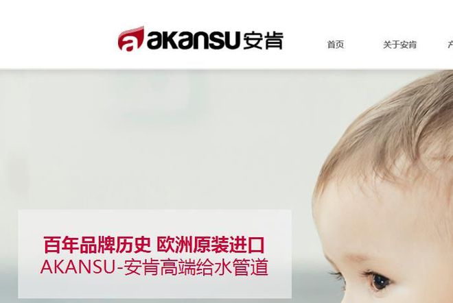 进口管哪个品牌好安肯推荐2023进口管道-家装水管-管材十大品牌开云体育 开云官网(图2)
