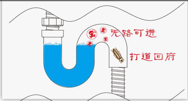 原来Kaiyun 开云体育一套厨房水盆的下水居然这么多的讲究长知识了(图2)