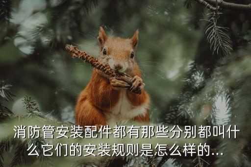 开云 开云体育平台消防管道安装消防管安装配件有哪些？(图1)