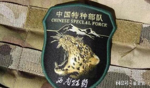 中国特种部队的符号详细开云APP 开云官网入口讲解(图2)