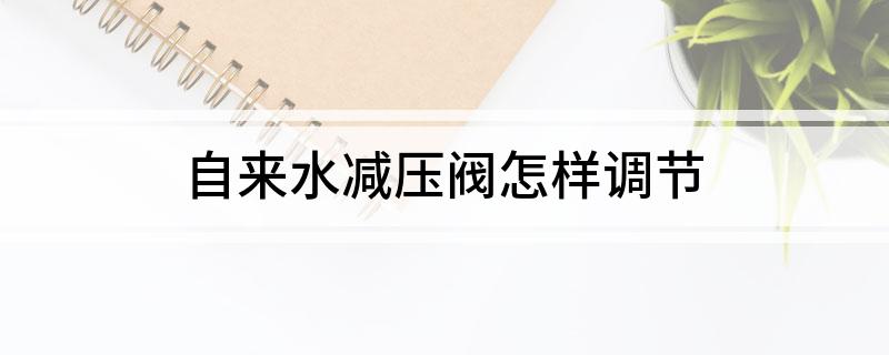 自来水减压阀怎样调Kaiyun 开云节(图1)
